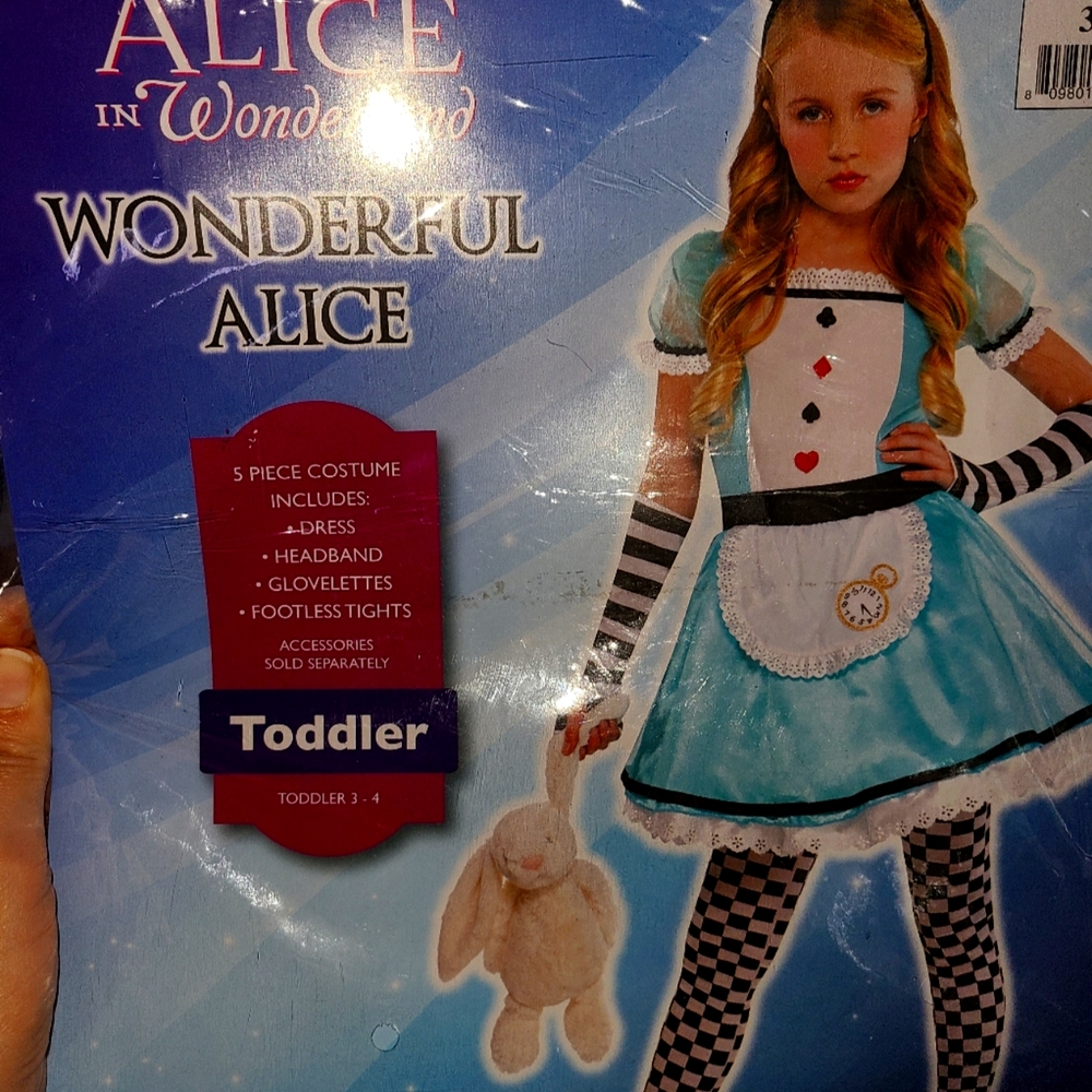 Disney Girls Alice in Wonderland Costume